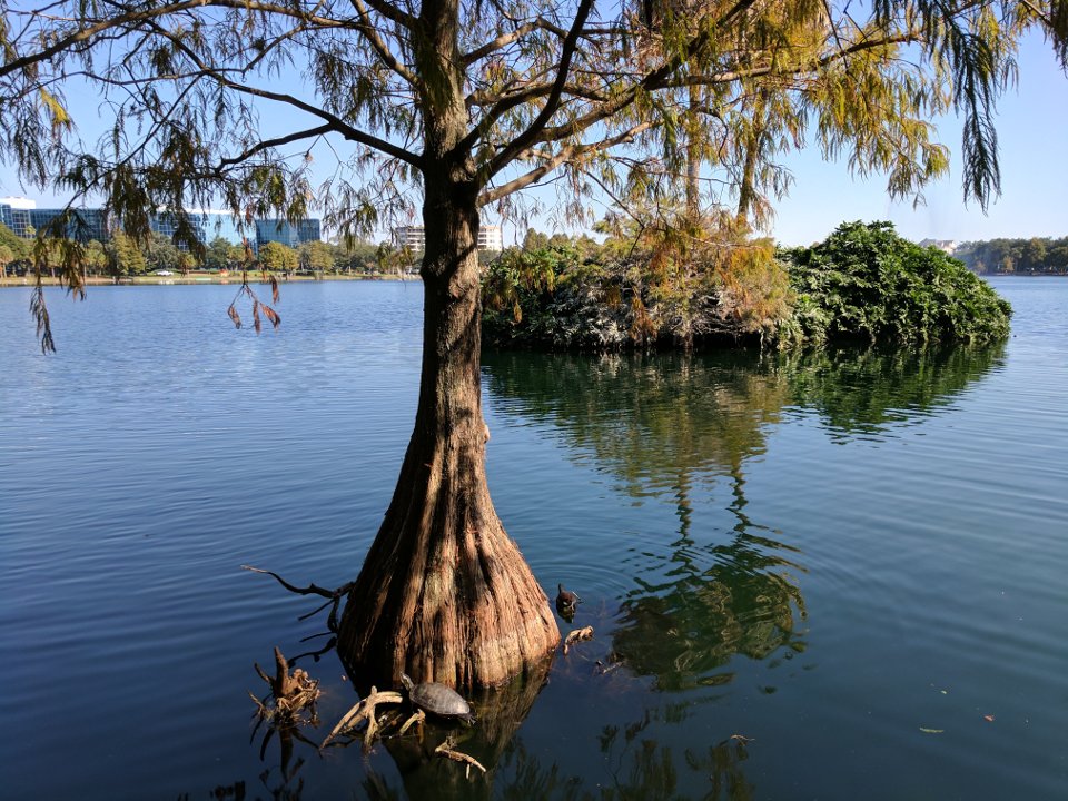 Lake Eola Park