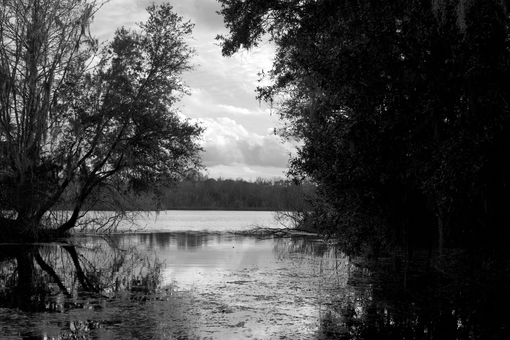 Lake Alice with some cumulus clouds, foreground in heavy shadow