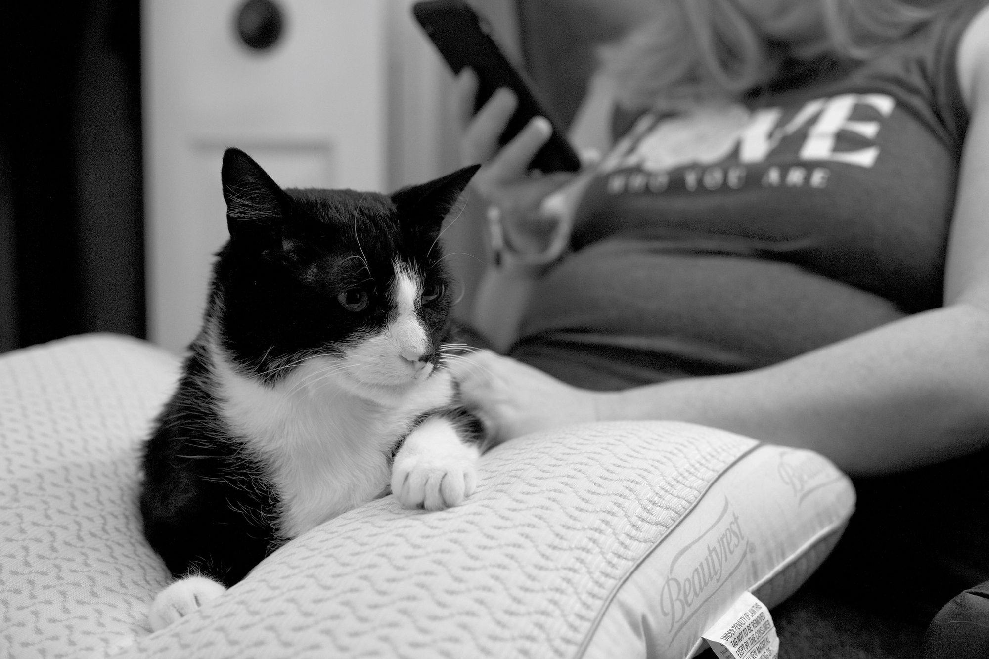 Tuxedo cat laying on a pillow on a woman's lap